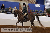 11r12_3198 proof