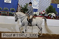 11r12_3200 proof