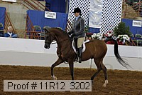 11r12_3202 proof