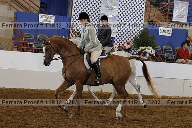 Proof 11r12_3203