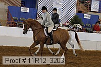 11r12_3203 proof