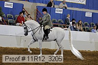 11r12_3205 proof