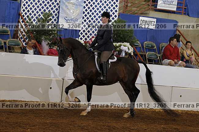 Proof 11r12_3206