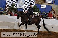 11r12_3206 proof