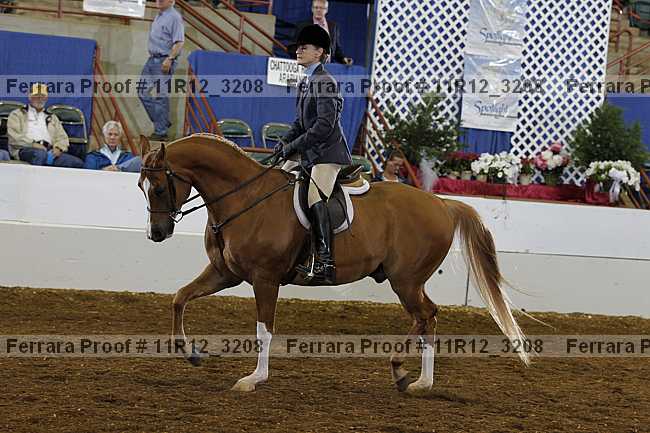 Proof 11r12_3208