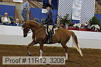 11r12_3208 proof