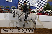 11r12_3209 proof