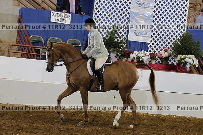 Proof 11r12_3213