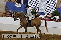 11r12_3213 proof