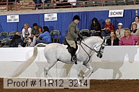 11r12_3214 proof