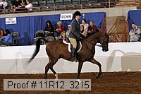 11r12_3215 proof