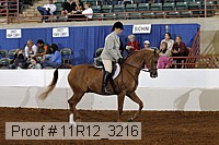 11r12_3216 proof