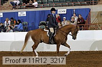 11r12_3217 proof