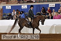 11r12_3218 proof