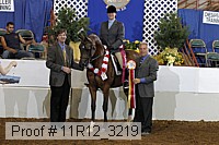 11r12_3219 proof