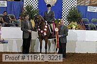 11r12_3221 proof