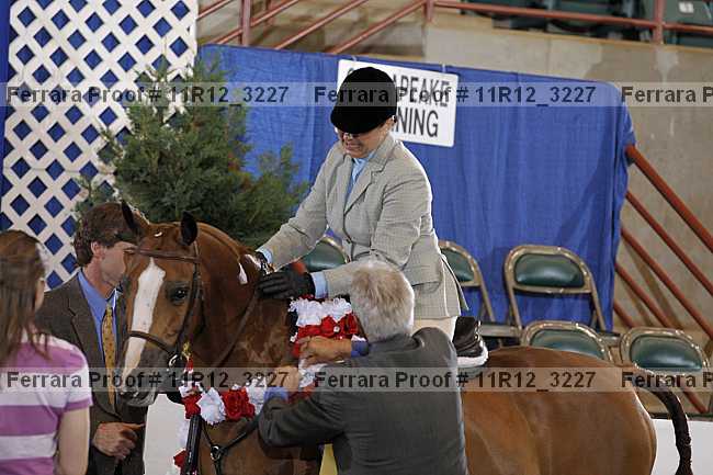 Proof 11r12_3227