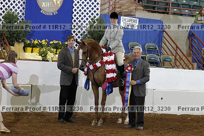 Proof 11r12_3230