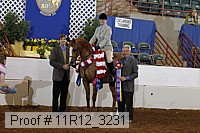 11r12_3231 proof