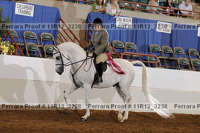 Proof 11r12_3238