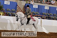 11r12_3238 proof
