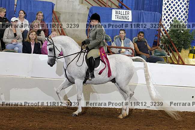 Proof 11r12_3239