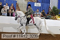 11r12_3239 proof
