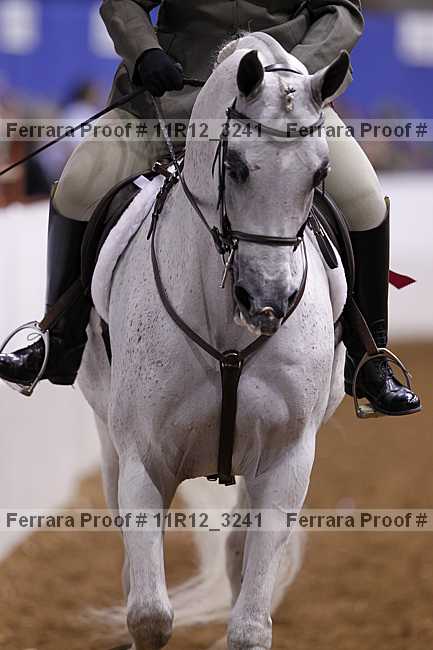 Proof 11r12_3241