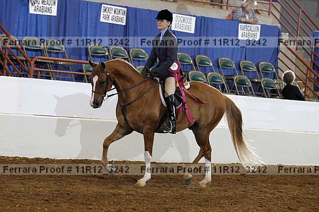 Proof 11r12_3242