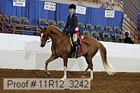 11r12_3242 proof