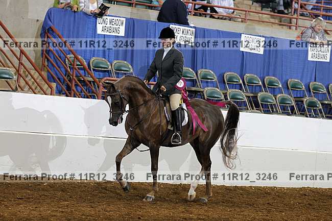 Proof 11r12_3246
