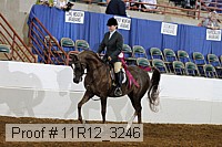 11r12_3246 proof