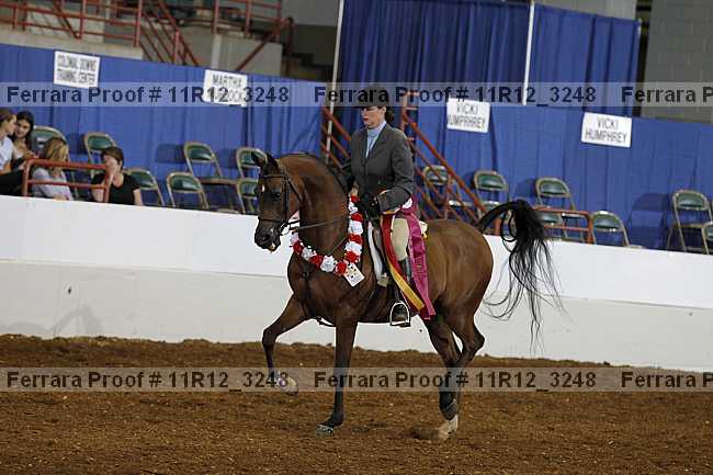Proof 11r12_3248
