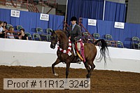 11r12_3248 proof