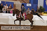 11r12_3250 proof
