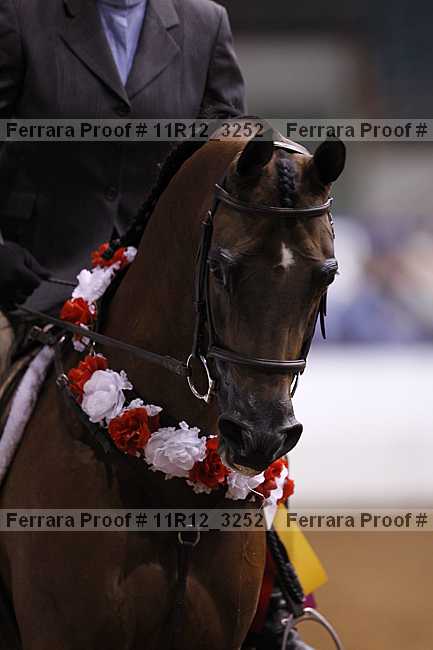 Proof 11r12_3252