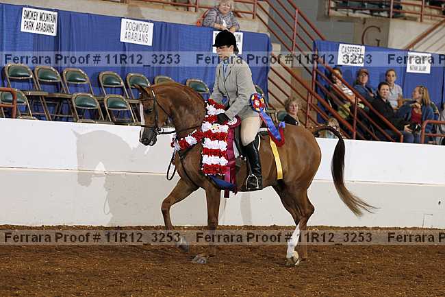 Proof 11r12_3253