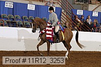 11r12_3253 proof