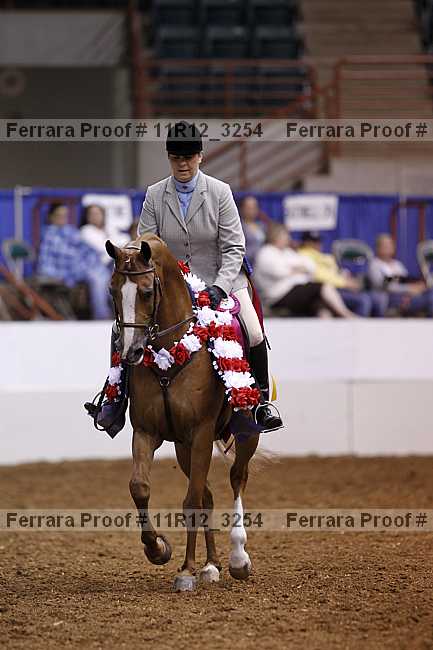 Proof 11r12_3254