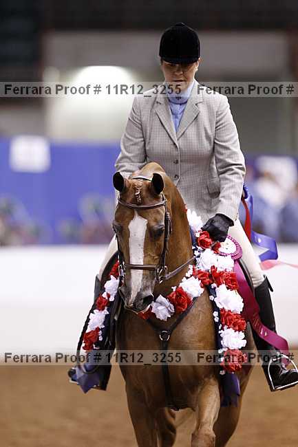 Proof 11r12_3255