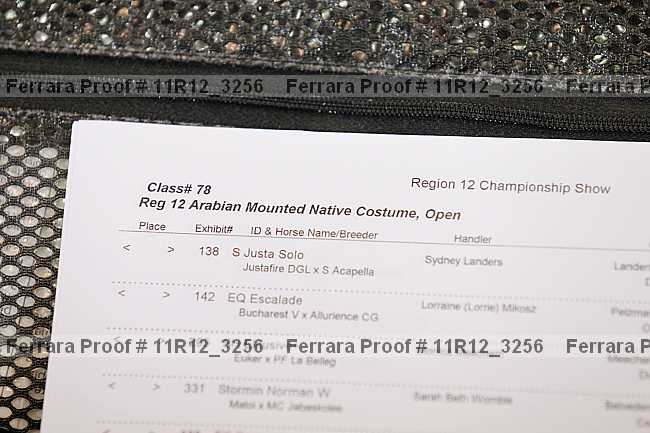 Proof 11r12_3256