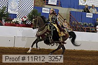 11r12_3257 proof