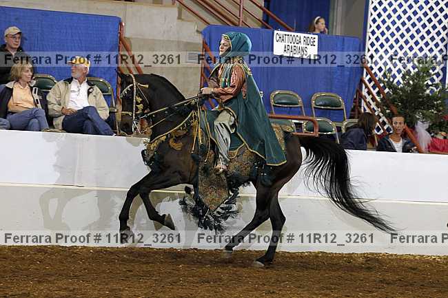 Proof 11r12_3261