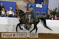 11r12_3261 proof