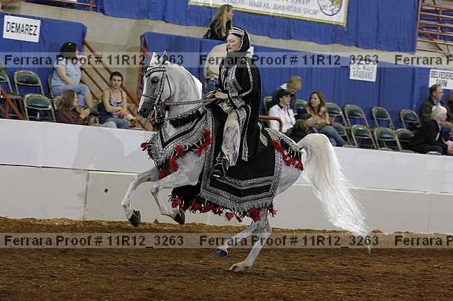 Proof 11r12_3263