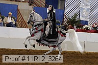 11r12_3264 proof