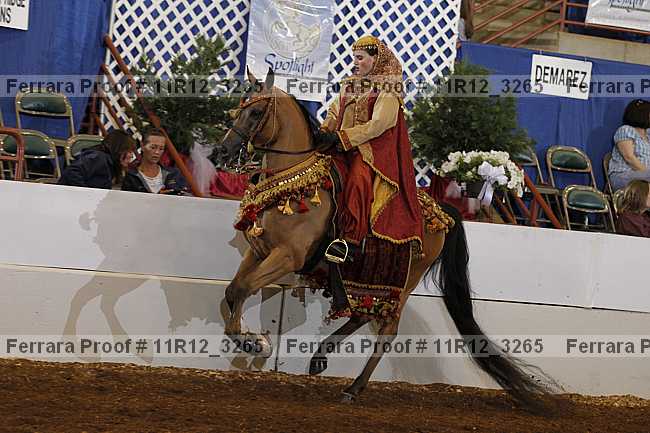 Proof 11r12_3265