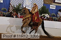 11r12_3265 proof