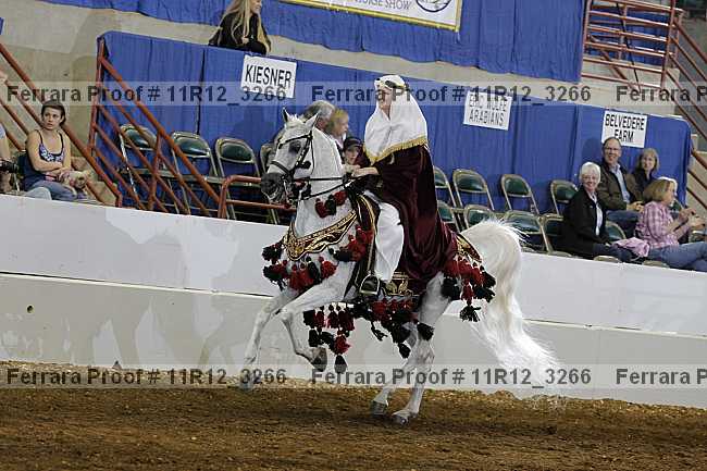 Proof 11r12_3266