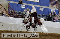 11r12_3266 proof